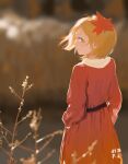  1girl aki_shizuha blonde_hair blurry blurry_background blurry_foreground commentary_request cowboy_shot dress from_behind hair_ornament hands_in_pockets leaf_hair_ornament long_dress long_sleeves looking_at_another looking_at_viewer looking_back orange_dress outdoors shi_yu_mu_xi short_hair solo standing touhou turning_head yellow_eyes 