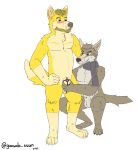  absurd_res anthro canid canine canis chastity_cage chastity_device coyote duo genitals hi_res male male/male mammal nude penis scarf 