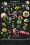  bellossom budew character_name cherrim cherrim_(sunshine) cherubi closed_eyes closed_mouth commentary cottonee eldegoss english_commentary english_text flower fomantis gloom_(pokemon) gossifleur green_background highres hisuian_lilligant hoppip jumpluff lilligant lurantis merchandise_available numbered oddish open_mouth petilil pokemon pokemon_(creature) pokemon_focus roselia_(pokemon) roserade simple_background sitting skiploom smile sunflora sunkern swainathan trait_connection vileplume whimsicott 