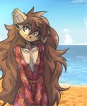  anthro apogee_(tinygaypirate) beach breasts brown_body brown_eyes brown_fur brown_hair canid canine canis cleavage clothed clothing domestic_dog dress ear_piercing facial_piercing facial_tuft female fur hair hi_res long_hair mammal markings outside piercing sea seaside sky solo spitz tinygaypirate tuft water 