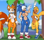 absurd_res anthro balls blotchy_areola breasts canid canine clothing crossgender english_text eulipotyphlan eyelashes flaccid flying_squirrel footwear foreskin fox freckles genital_raphe genitals gesture gloves group gynomorph handwear hedgehog hi_res humanoid_genitalia humanoid_penis intersex justtaylor mammal miles_prower mtg_crossgender mti_crossgender navel nipples outside penis pubes public public_nudity raphe_(anatomy) ray_the_flying_squirrel rodent sciurid scrotal_raphe sega shoes smile sonic_the_hedgehog sonic_the_hedgehog_(series) standing text trio waving