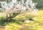  1girl artist_name black_hair black_shoes cherry_blossoms closed_eyes commentary_request day dress grass hair_spread_out hat holding holding_unworn_clothes holding_unworn_hat long_hair lying on_back on_ground original outdoors petals pink_petals potg_(piotegu) resting scenery shoes signature solo spring_(season) tree tree_shade twitter_username unworn_hat unworn_headwear white_dress wide_shot 