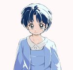  1girl absurdres blue_dress blue_hair closed_mouth dress fuurinkan_high_school_uniform grey_eyes highres ranma_1/2 school_uniform short_hair solo tendou_akane tokito_rk upper_body v-shaped_eyebrows white_background 
