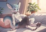 anthro bed big_ears black_collar black_nose blue_body blue_fur blush blush_lines bottomwear canid canine claws clothed clothed_anthro clothed_male clothing collar collar_tag countershade_face countershade_tail countershading crop_top cropped_hoodie detailed_background digital_drawing_(artwork) digital_media_(artwork) dipstick_ears ear_markings fennec_fox finger_claws fingers fluffy fluffy_tail fox front_view fur furniture hair head_tuft hi_res hoodie inner_ear_fluff kesha_kotolapa male male_anthro mammal markings mouth_closed multicolored_body multicolored_ears multicolored_fur multicolored_tail nervous nervous_smile on_bed painting_(object) paws pillow plant plant_pot purple_eyes shaded shirt shy signature sitting sitting_on_bed slim smile soft_shading solo streetwear tail techwear three-quarter_view toe_claws topwear true_fox tuft warm_lighting white_body white_fur white_hands white_paws window window_curtains window_light zee_(zfursee)
