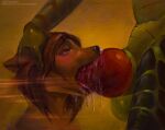 2018 ambiguous_gender anthro anthro_on_anthro anthro_penetrated anthro_penetrating anthro_penetrating_anthro balls big_knot black_nose bodily_fluids brown_body brown_eyes brown_fur canid canine canis close-up duo faceless_character faceless_male fellatio fur genitals green_body hair half-closed_eyes hand_on_head knot knotted_penis male mammal messy narrowed_eyes nude oral oral_only oral_penetration penetration penile penis penis_in_mouth red_penis saliva saliva_on_penis saliva_string satynapaper scalie sex simple_background wolf