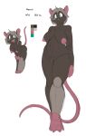 anthro areola big_breasts big_butt big_nipples breasts brown_body butt female genitals green_eyes hair mammal mandi_(reakuthecrate) markings mole_(marking) murid murine nipples nude nude_anthro nude_female pink_areola pink_nipples pink_tail puffy_nipples reakuthecrate rodent slightly_chubby solo tail tan_hair thick_thighs vulva