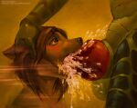 2018 ambiguous_gender anthro anthro_on_anthro anthro_penetrated anthro_penetrating anthro_penetrating_anthro balls big_knot black_nose bodily_fluids brown_body brown_eyes brown_fur canid canine canis close-up cum cum_in_mouth cum_inside cum_on_penis drinking drinking_cum duo ejaculation excessive_cum excessive_genital_fluids faceless_character faceless_male fellatio fur genital_fluids genitals green_body hair hand_on_head knot knotted_penis male mammal messy nude oral oral_only oral_penetration penetration penile penis penis_in_mouth red_penis satynapaper scalie sex simple_background wide_eyed wolf