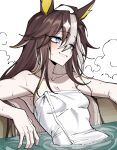  1girl animal_ears blue_eyes breasts brown_hair cleavage collarbone commentary_request dream_journey_(umamusume) grin hair_between_eyes highres horse_ears horse_girl long_hair multicolored_hair naked_towel partially_submerged simple_background sitting small_breasts smile solo steam towel two-tone_hair umamusume vvernerluniq wet white_background white_hair 