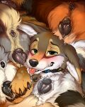 animal_genitalia animal_vulva anus blush blush_lines bodily_fluids butt butt_focus canid canine canine_genitalia canine_vulva canis cheek_tuft claws collar cookie coyote cum cum_drip cum_in_ass cum_in_vagina cum_inside cum_on_face cumshot cunnilingus dripping ejaculation facial_tuft female feral feral_penetrated fluffy fluffy_ears fluffy_tail food genital_fluids genitals group hi_res licking male male/female mammal mohitopaw neck_tuft nude oral penetration raised_hips saliva saliva_on_face saliva_on_tongue saliva_string sex tail tongue tongue_out tuft vaginal vulva wide_hips