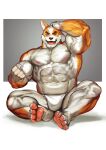  abs anthro biceps blue_eyes bunnicula_(series) canid canine clothed clothing harold_(bunnicula) hi_res looking_at_viewer male mammal muscular muscular_anthro muscular_male partially_clothed solo traver009 vein veiny_muscles 