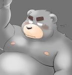  2022 anthro belly blush grey_body kemono male mammal moobs nipples overweight overweight_male portrait simple_background solo toshi_(artist) ursid 