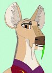  anthro big_ears cervid dreamworks female hi_res jade_tusk kung_fu_panda mammal smile solo teeth tusks unclesam1776 water_deer 