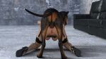  3d_(artwork) all_fours anal bent_over bestiality breasts canid canine canis clothing deep_penetration digital_media_(artwork) domestic_dog female feral fira3dx forced gaping hi_res high_heels human knotting legwear mammal nina penetration stockings 