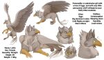 4_fingers avian beak big_eyes big_wings chibi claws disembodied_head ear_tuft english_text feathers feet female feral fingers flying forearms grey_body grey_feathers gryphon h.i.a_dibujitos heart_symbol hybrid japanese_text large_wings lottle_(dragon-lover) model_sheet mythological_avian mythological_creature mythology name_drop pointy_beak quadruped resting resting_on_belly scaled_forearms scales side_view simple_background solo talons text toes tuft white_background white_claws wings yellow_beak