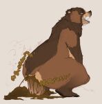 2026 5_fingers 5_toes anal anal_penetration anal_squirt anonymous_artist anthro arm_markings aroused bear belly big_dildo biped bodily_fluids brown_arms brown_bear brown_body brown_claws brown_ears brown_feces brown_feet brown_fur brown_hands brown_legs brown_mane brown_nose brown_pawpads brown_paws brown_tail butt cheek_markings claws coprophilic_intercourse crouching digital_drawing_(artwork) digital_media_(artwork) dildo dildo_in_ass dildo_insertion dirty_anal dripping excessive_feces eye_roll facial_markings feces feces_on_ass feces_on_body feces_on_butt feces_on_dildo feces_on_ground feces_on_sex_toy feces_on_tail feces_pile feces_squirt feet finger_claws fingers fluffy fluffy_tail fur fur_markings grizzly_bear hair handpaw head_markings hi_res kuruk_(character) looking_pleasured male male_anthro mammal mane mane_hair markings monotone_feet monotone_hands monotone_inner_ear monotone_markings multicolored_body multicolored_fur muzzle_(marking) nude object_in_ass object_penetration onomatopoeia open_mouth orange_eyes pawpads paws penetration pink_tongue plantigrade pooping riding_dildo scatplay sex_toy sex_toy_in_ass sex_toy_insertion sharp_teeth short_ears short_fur short_tail side_view simple_background sketch slightly_chubby slightly_chubby_anthro slightly_chubby_male small_ears small_tail snout snout_markings solo sound_effects tail tall tan_belly tan_body tan_fur tan_inner_ear tan_markings tan_tail teeth text third-party_edit toe_claws toes tongue tongue_out two_tone_body two_tone_fur two_tone_tail ursidae ursine ursine_ears