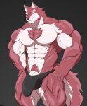  2022 abs anatake anthro balls_outline barazoku biceps big_bulge big_muscles big_penis black_background body_hair bulge canid canine canis chest_hair clothed clothing diederich_olsen_(knights_college) erection erection_under_clothing eyebrows fur genital_outline genitals hands_on_hips hi_res knights_college male mammal muscular muscular_anthro muscular_male navel obliques pecs penis penis_outline pubes quads simple_background solo standing thong tuft underwear vein video_games visual_novel wolf 