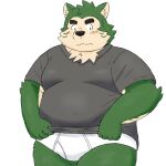  anthro blush briefs canid canine canis clothing domestic_dog eyebrows fur green_body green_fur hi_res lifewonders live-a-hero male mammal mokdai overweight shirt solo t-shirt thick_eyebrows tighty_whities topwear underwear video_games white_clothing white_underwear yaki_atsuage 
