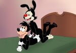 absurd_res animaniacs anthro bed bedroom black_body black_fur butt canid canine canis clothed clothing crack_ship crossover digital_media_(artwork) disney domestic_dog duo erection foreskin fur furniture genitals glans gloves goof_troop handwear hi_res hot_dogging humanoid_genitalia humanoid_penis inkblot lying magzol male male/male mammal max_goof nude on_bed open_mouth partially_retracted_foreskin penis sex speedo swimwear tongue topless warner_brothers yakko_warner 