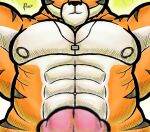  alanottaviano anthro barazoku close-up felid feline hi_res male male/male mammal muscular pantherine solo tiger 
