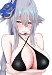  1girl absurdres azur_lane bangs bare_shoulders bikini black_bikini blush breast_hold breasts collarbone commentary_request criss-cross_halter fox_mask grey_eyes hair_between_eyes halterneck hifumi_kei highres large_breasts long_hair looking_at_viewer mask mask_on_head sidelocks silver_hair simple_background solo swimsuit tosa_(azur_lane) upper_body white_background 