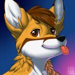  anthro blep canid canine comfy fox male male/male mammal profile_picture soft solo tongue tongue_out warm 