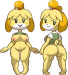  animal_crossing anthro bottomless breasts butt canid canine canis clothed clothing clothing_lift domestic_dog female fur genitals hi_res isabelle_(animal_crossing) mammal nintendo presenting pussy shih_tzu shirt shirt_lift smile solo topwear toy_dog video_games vilepluff yellow_body yellow_fur 