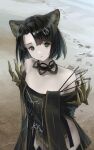  1girl absurdres animal_ears arknights bangs bare_shoulders black_choker black_dress black_eyes black_hair cat_ears choker commentary_request dress eyebrows_visible_through_hair highres looking_at_viewer mandragora_(arknights) off-shoulder_dress off_shoulder outdoors short_hair solo upper_body welt_(kinsei_koutenkyoku) 