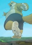  4_toes anthro barefoot blue_sky bottomwear canid canine canis city clothing dirty_feet dj-rodney feet foot_fetish foot_focus hi_res hybrid macro male male/male mammal overweight overweight_anthro overweight_male paws shorts sky solo step_pose stomping toes ursid 