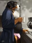  2022 anthro belly beverage black_body black_fur black_nose brown_body brown_fur bulge canid canine canis clothed clothing coffee coffee_mug domestic_dog fur hi_res humanoid_hands inside jaykat male mammal moobs nipples open_clothing open_robe overweight overweight_male robe solo underwear white_body white_fur 