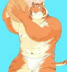  2016 anthro asian_clothing barazoku biped clothing east_asian_clothing felid fundoshi gombee_s humanoid_hands japanese_clothing kemono male mammal muscular muscular_male navel nipples one_eye_closed pantherine pink_nose solo tiger underwear white_clothing white_fundoshi white_underwear wink 