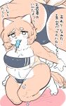  absurd_res anthro blush blush_stickers breast_squeeze breasts butt_cleavage canid canine canis clothed clothing curvy_figure cute_fangs dialogue domestic_dog dressing dressing_up dripping ears_up female fluffy fluffy_tail food gris_swimsuit hi_res japanese_text kawaiishinitai kneeling lidded_eyes mammal meme meme_clothing mostly_nude neck_tuft nikushiba-chan one-piece_swimsuit overweight overweight_female owo popsicle popsicle_in_mouth popsicle_melting pudgy_belly shiba_inu skimpy spitz stained_fur swimwear talking_to_self text tight_clothing translation_request translucent translucent_clothing translucent_swimwear tuft view_between_legs voluptuous 