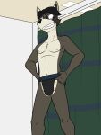  anthro bulge clothed clothing eyewear fitting_room fuze glasses hi_res jde_ringtail jockstrap jockstrap_only male mammal navel nipples procyonid raccoon solo topless underwear underwear_only 