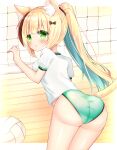  1girl :o animal_ear_fluff animal_ears ass bad_anatomy blonde_hair blue_hair blush breasts brown_hair buruma cat_ears cat_girl cat_tail commentary_request from_behind green_buruma green_eyes gym_shirt hand_up highres indoors long_hair looking_at_viewer looking_back medium_breasts multicolored_hair original parted_lips ponytail puffy_short_sleeves puffy_sleeves shikito shirt short_sleeves solo standing streaked_hair tail two-tone_hair very_long_hair volleyball volleyball_net white_shirt wooden_floor 