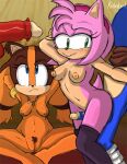  amy_rose anthro badger bite biting_lip blush breasts clothing disembodied_penis eulipotyphlan faceless_character faceless_male female frown genitals group hedgehog hi_res kinkybird legwear male male/female mammal mustelid musteline nude penis pubes pussy sega sex sketch small_breasts sonic_boom sonic_the_hedgehog sonic_the_hedgehog_(series) sticks_the_jungle_badger thigh_highs thigh_sex 