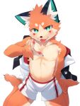  2022 5_fingers anthro blush bottomwear canid canine clothed clothing fingers fox foxy_(nekojita) hi_res jacket kneeling male mammal nekojita shorts simple_background solo topless topwear white_background 