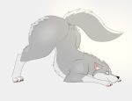  2022 ass_up big_butt black_nose blue_eyes butt canid canine canis digital_drawing_(artwork) digital_media_(artwork) ears_back eyelashes female feral fur grey_body grey_fur hi_res inner_ear_fluff jack-o&#039;_pose kaze~inu mammal pawpads paws pink_pawpads pivoted_ears pose raised_tail simple_background smile solo tuft white_background white_body white_fur wide_hips wolf 