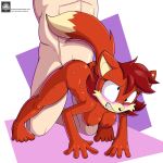  anthro archie_comics blush bodily_fluids breasts butt canid canine duo female fiona_fox fours_(artist) fox from_behind_position hi_res human interspecies male male/female mammal nipples sega sex sonic_the_hedgehog_(archie) sonic_the_hedgehog_(comics) sonic_the_hedgehog_(series) sweat 