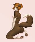  anthro brown_body brown_fur brown_pawpads butt canid canine digital_media_(artwork) female floppy_ears fluffy fluffy_tail fur hair hi_res hindpaw kneeling mammal nude orange_hair pawpads paws pink_background shaded simple_background solo white_body white_fur yumich 
