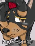  accessory alan_(word360) anthro black_body black_fur brown_eyes canid canine canis dobermann domestic_dog dreadlocks frown fur hair_accessory hair_tie hi_res humor looking_at_viewer male mammal meme multicolored_body multicolored_fur pinscher reaction_image simple_background solo text two_tone_body two_tone_fur word360 