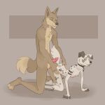  anthro breasts canid canine canis collar dalmatian doggystyle domestic_dog duo female female_focus from_behind_position hi_res male male/female mammal sex size_difference slim small_breasts smaller_female zowato 