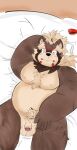  2022 anthro bed belly big_belly blush canid canine censored flaccid furniture genitals goemon_(tas) hi_res humanoid_genitalia humanoid_hands humanoid_penis kemono lifewonders lying male mammal moobs nipples overweight overweight_male penis raccoon_dog raio_owo solo tanuki tokyo_afterschool_summoners video_games 