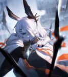  1girl animal_ears arknights black_gloves black_shirt blurry blurry_background brown_gloves coat cold ear_ornament frostnova_(arknights) gloves grey_eyes hair_ornament hair_over_one_eye hairclip highres long_hair looking_at_viewer mayf42 open_clothes open_coat originium_(arknights) originium_arts_(arknights) outdoors rabbit_ears scar scar_on_face scar_on_nose shirt silver_hair solo twitter_username upper_body white_coat white_hair winter_clothes winter_coat 
