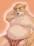  2022 5gomashio anthro balls barely_visible_balls barely_visible_genitalia barely_visible_penis belly blush brown_body bulge canid canine clothing genitals hi_res humanoid_hands kemono male mammal moobs navel nipples overweight overweight_male penis simple_background solo underwear 