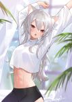  1girl animal_ear_fluff animal_ears arms_up bike_shorts cat_ears cat_girl commentary eyebrows_visible_through_hair hair_between_eyes highres long_hair long_sleeves looking_at_viewer midriff navel nima_(niru54) open_mouth original red_eyes shiny shiny_hair shirt signature silver_hair solo white_shirt 