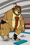  2013 anthro asian_clothing belly big_belly black_nose brown_body canid canine canis clothing east_asian_clothing humanoid_hands hybrid japanese_clothing kemono male mammal mawashi moobs nipples overweight overweight_male solo sumo ursid vvolfaith wolf 