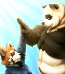  2013 ailurid anthro belly big_belly black_body black_fur black_nose duo eyes_closed fur giant_panda humanoid_hands kemono male mammal moobs oaks16 overweight overweight_male red_panda size_difference ursid white_body white_fur 
