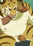  2011 anthro balls belly erection eto1212 eyes_closed felid genitals kemono male male/male mammal moobs nipples overweight overweight_male pantherine penis pink_nose sitting solo_focus tiger unavailable_at_source 