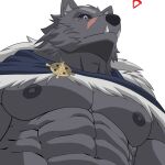  abs anthro black_sclera blaidd_(elden_ring) canid canine canis cape cape_only clothing cresxart elden_ring fangs fur grey_body grey_fur hi_res low-angle_view male mammal mostly_nude muscular muscular_anthro muscular_male nipples pecs pubes shaded simple_background solo white_background wolf 