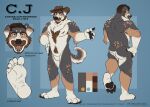  anthro artist_name:slipperysqueaks australian_shepherd canid canine canis cj_(darkhero18) clothing cowboy cowboy_hat domestic_dog feet hat headgear headwear herding_dog hi_res male mammal mature_male model_sheet pastoral_dog paws reference_image sheepdog solo 