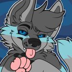  animated anthro apexyotie blue_body blue_eyes blue_fur canid canine canis coyote fur grey_body grey_fur hi_res hypnosis hypnotic_eyes male mammal mind_control solo tongue tongue_out 